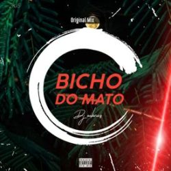 DJ Aibras – Bicho do Mato (Original Mix)