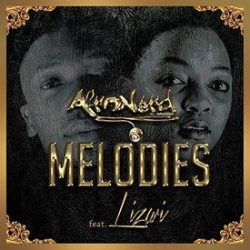 Afronerd – Melodies (feat. Lizwi)
