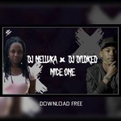 DJ Nelluka & DJ Dildred – Nice One