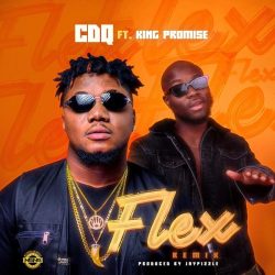 CDQ – Flex (Remix) (feat. King Promise)