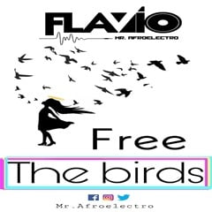DJ Flávio Mz – Free The Birds