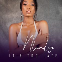 Ntandose – It’s Too Late (feat. Liza Miro)