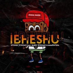 Sponge Wodumo – Ibheshu (feat. Mampintsha & Babes Wodumo)