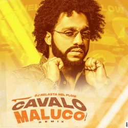 DJ Nelasta Nel Flow – Cavalo Maluco (Remix)