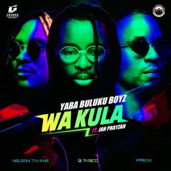 Yaba Buluku Boyz (DJ Tarico, Nelson Tivane, Preck)  – Wa Kula (feat. Jah Prayzah)