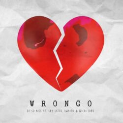 DJ So Nice – Wrongo (feat. Kwxito, Sky Lxtch & Wichi 1080)